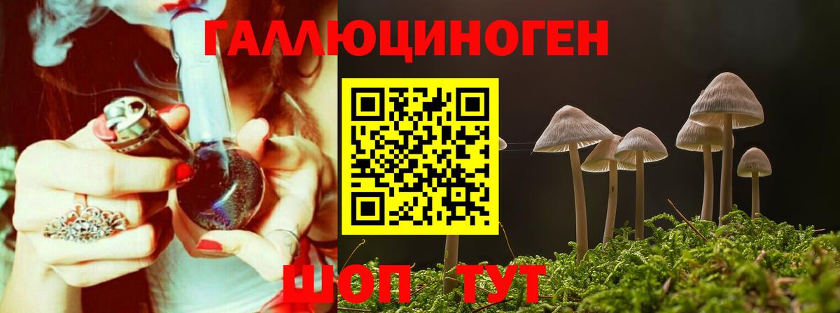 Черкесск  Галлюциногенные грибы Psilocybine cubensis  Вход с VPN  Галлюциногенные грибы мицелий 